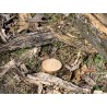 Split Log