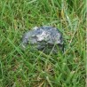 Fake Rock